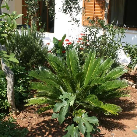 By The Sea Mandre, Pag - 6518